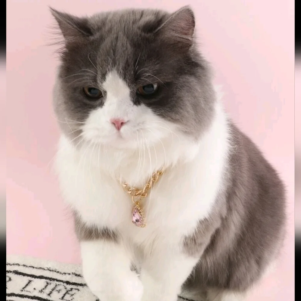 ONESIZE Rhinestone Waterdrop Pendant Pet Necklace